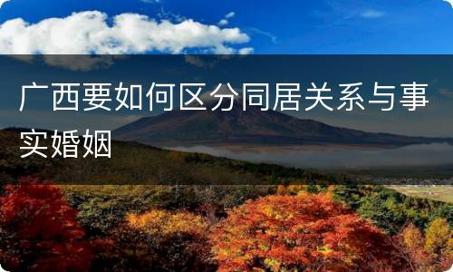 广西要如何区分同居关系与事实婚姻