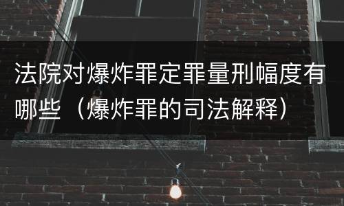 法院对爆炸罪定罪量刑幅度有哪些（爆炸罪的司法解释）