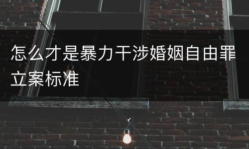 怎么才是暴力干涉婚姻自由罪立案标准