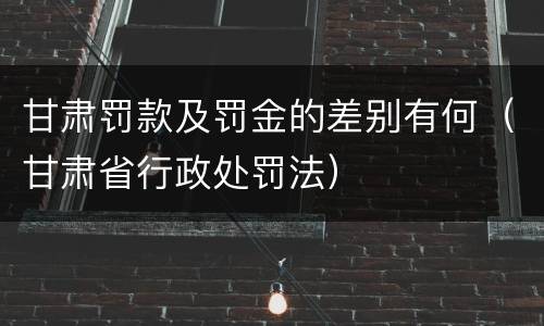 甘肃罚款及罚金的差别有何（甘肃省行政处罚法）