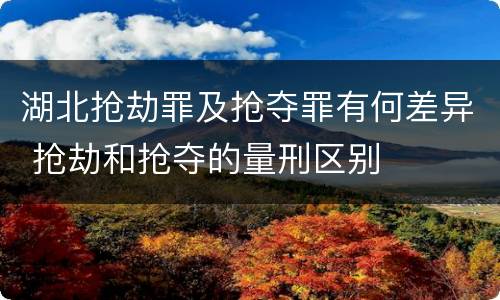 湖北抢劫罪及抢夺罪有何差异 抢劫和抢夺的量刑区别