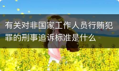 有关对非国家工作人员行贿犯罪的刑事追诉标准是什么