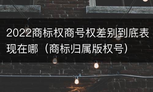 2022商标权商号权差别到底表现在哪（商标归属版权号）