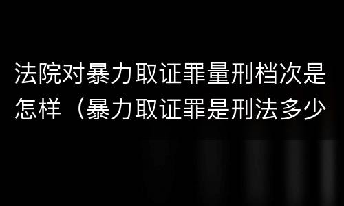 法院对暴力取证罪量刑档次是怎样（暴力取证罪是刑法多少条）