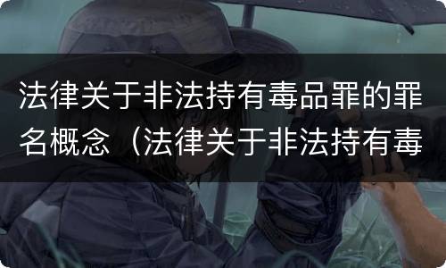 法律关于非法持有毒品罪的罪名概念（法律关于非法持有毒品罪的罪名概念界定）