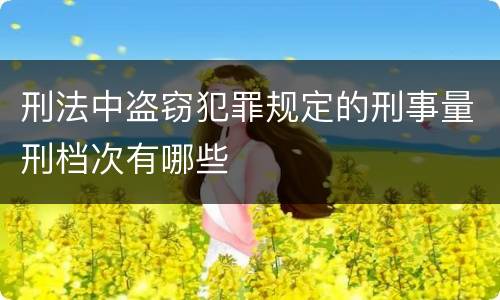 刑法中盗窃犯罪规定的刑事量刑档次有哪些