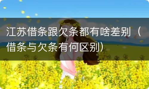 江苏借条跟欠条都有啥差别（借条与欠条有何区别）