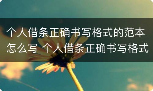 个人借条正确书写格式的范本怎么写 个人借条正确书写格式的范本怎么写图片