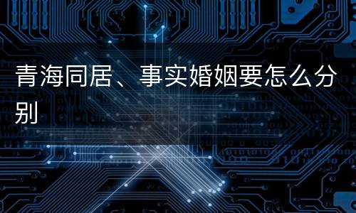 青海同居、事实婚姻要怎么分别