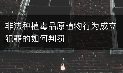 非法种植毒品原植物行为成立犯罪的如何判罚