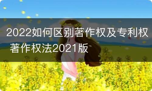 2022如何区别著作权及专利权 著作权法2021版