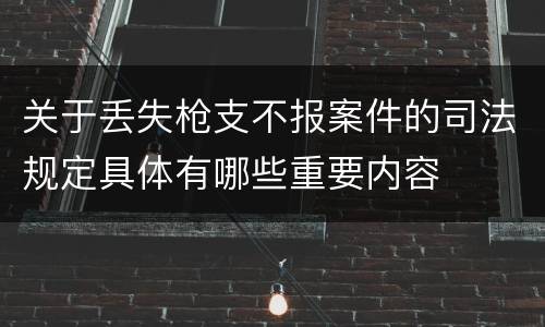 关于丢失枪支不报案件的司法规定具体有哪些重要内容