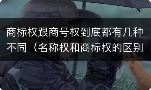 商标权跟商号权到底都有几种不同（名称权和商标权的区别）