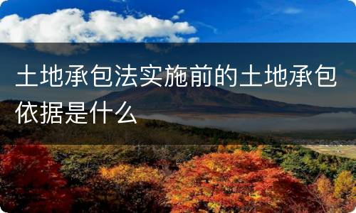 土地承包法实施前的土地承包依据是什么