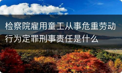 检察院雇用童工从事危重劳动行为定罪刑事责任是什么