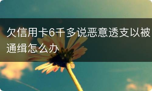欠信用卡6千多说恶意透支以被通缉怎么办