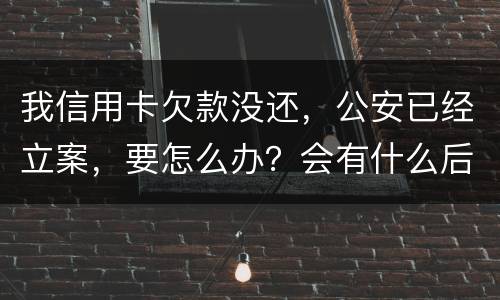 我信用卡欠款没还，公安已经立案，要怎么办？会有什么后果