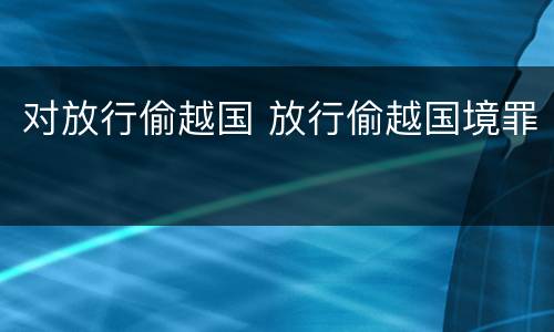对放行偷越国 放行偷越国境罪