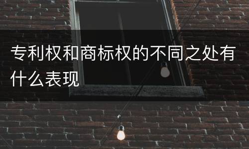 专利权和商标权的不同之处有什么表现