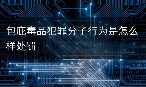 包庇毒品犯罪分子行为是怎么样处罚