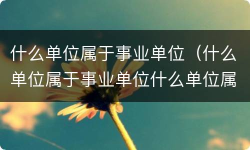 什么单位属于事业单位（什么单位属于事业单位什么单位属于机关单位）