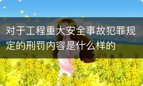 对于工程重大安全事故犯罪规定的刑罚内容是什么样的
