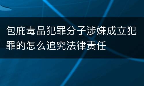 包庇毒品犯罪分子涉嫌成立犯罪的怎么追究法律责任