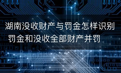 湖南没收财产与罚金怎样识别 罚金和没收全部财产并罚