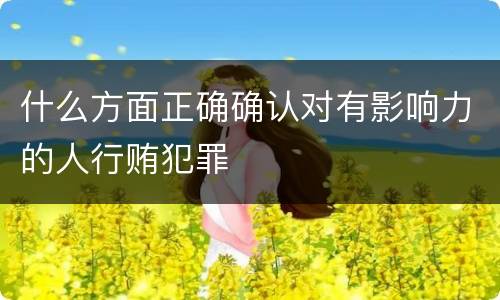 什么方面正确确认对有影响力的人行贿犯罪