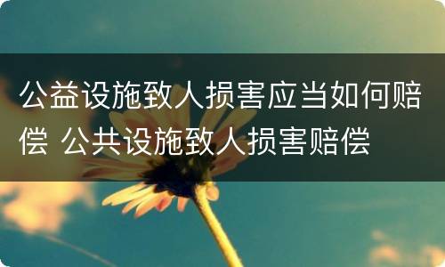 公益设施致人损害应当如何赔偿 公共设施致人损害赔偿