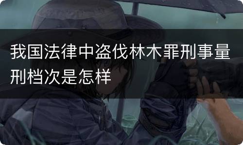 我国法律中盗伐林木罪刑事量刑档次是怎样