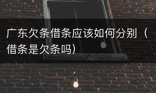 广东欠条借条应该如何分别（借条是欠条吗）