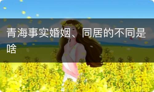 青海事实婚姻、同居的不同是啥