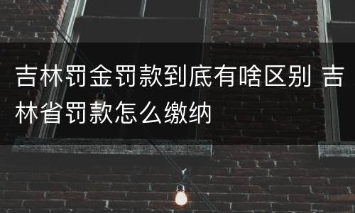 吉林罚金罚款到底有啥区别 吉林省罚款怎么缴纳