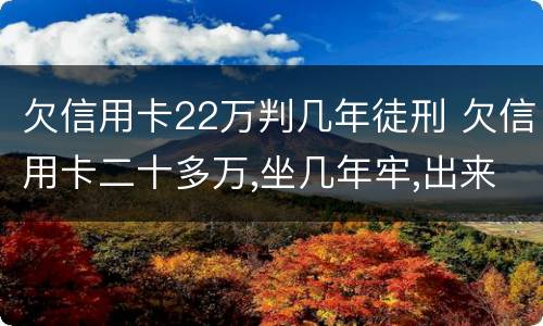 欠信用卡22万判几年徒刑 欠信用卡二十多万,坐几年牢,出来后怎样还