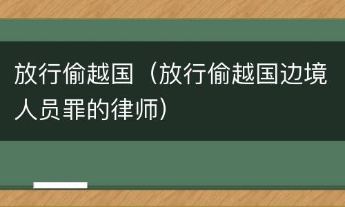 放行偷越国（放行偷越国边境人员罪的律师）
