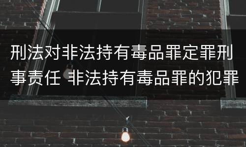刑法对非法持有毒品罪定罪刑事责任 非法持有毒品罪的犯罪构成