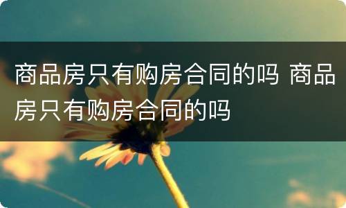 商品房只有购房合同的吗 商品房只有购房合同的吗