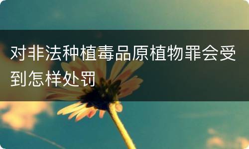 对非法种植毒品原植物罪会受到怎样处罚