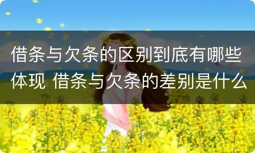 借条与欠条的区别到底有哪些体现 借条与欠条的差别是什么