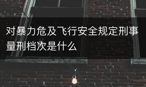 对暴力危及飞行安全规定刑事量刑档次是什么