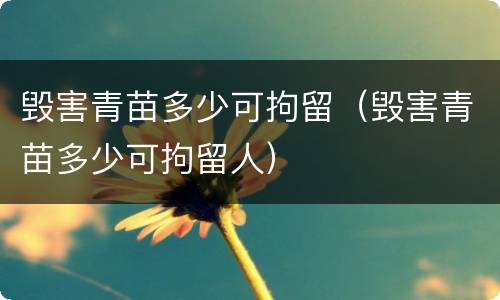 毁害青苗多少可拘留（毁害青苗多少可拘留人）