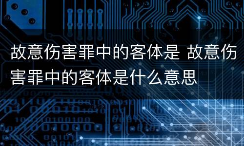 故意伤害罪中的客体是 故意伤害罪中的客体是什么意思