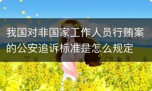 我国对非国家工作人员行贿案的公安追诉标准是怎么规定