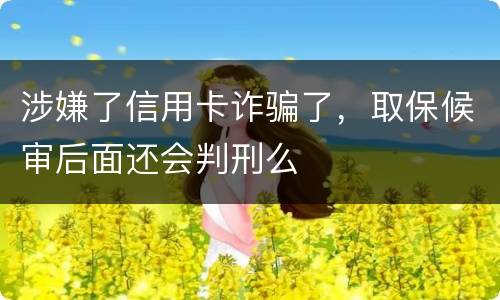 涉嫌了信用卡诈骗了，取保候审后面还会判刑么