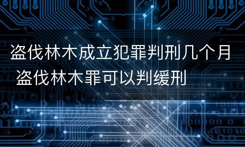 盗伐林木成立犯罪判刑几个月 盗伐林木罪可以判缓刑
