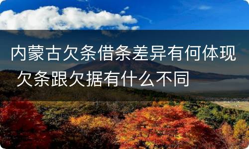 内蒙古欠条借条差异有何体现 欠条跟欠据有什么不同