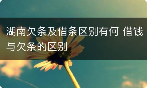 湖南欠条及借条区别有何 借钱与欠条的区别