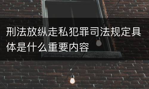 刑法放纵走私犯罪司法规定具体是什么重要内容