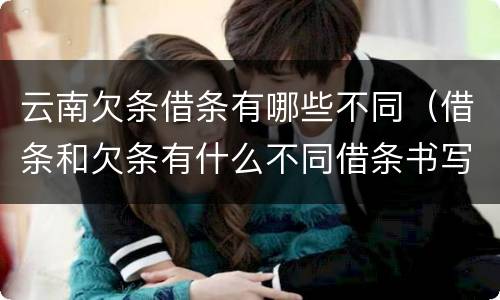 云南欠条借条有哪些不同（借条和欠条有什么不同借条书写）